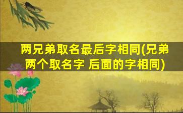 两兄弟取名最后字相同(兄弟两个取名字 后面的字相同)